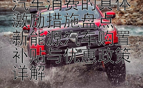 政府促进新能源汽车消费的具体激励措施盘点  
新能源汽车购置补贴与优惠政策详解